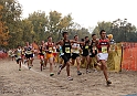 2010CIF XC BD3-0081